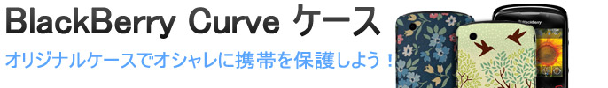 Blackberry Curve ケース